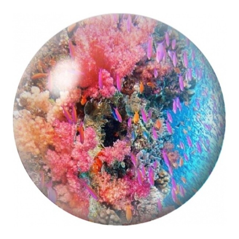 Cabochon en Verre Illustré Récif de Corail Multicolore 12 à 25mm