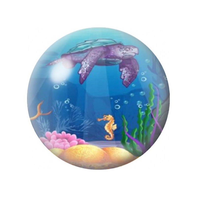 Cabochon en Verre Illustré Tortue et Hippocampe 12 à 25mm