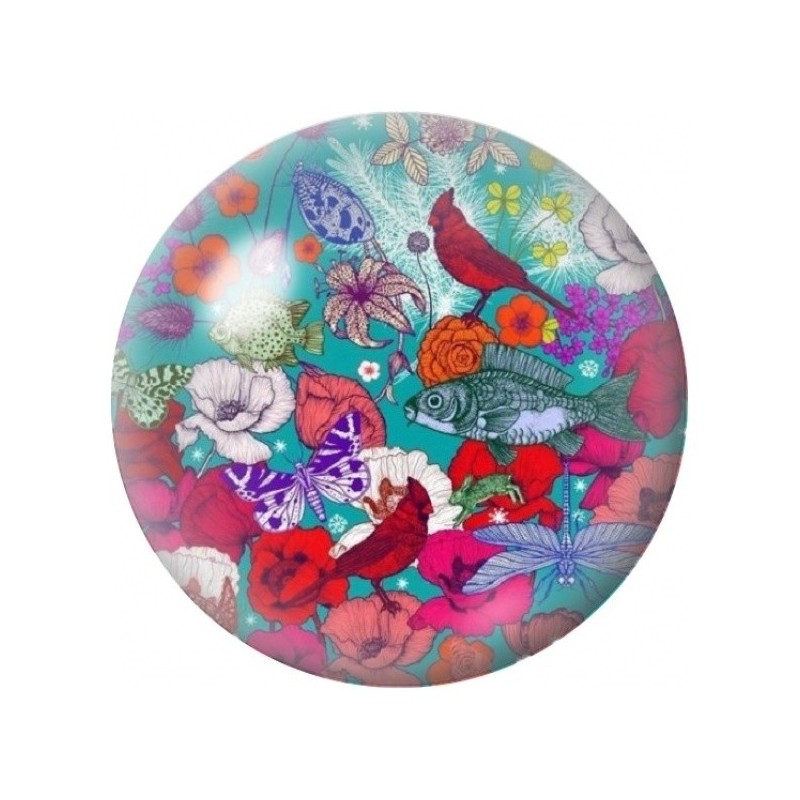 Cabochon en Verre Illustré Oiseaux et Poissons Fantaisie 12 à 25mm