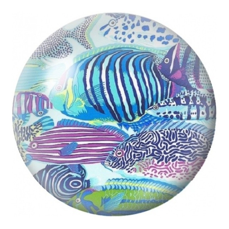 Cabochon en Verre Illustré Poissons Rayés Graphiques 12 à 25mm