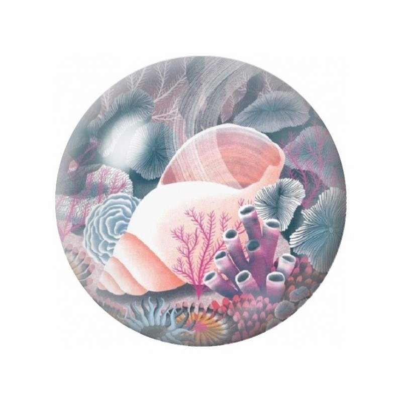 Cabochon en Verre Illustré Coquillage Rose dans le Corail 12 à 25mm