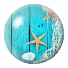 Cabochon en Verre Illustré Étoile de Mer sur Bois Turquoise 12 à 25mm pour la Création de Bijoux Fantaisie - DIY