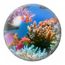 Cabochon en Verre Illustré Poissons-Clowns dans le Corail 12 à 25mm pour la Création de Bijoux Fantaisie - DIY