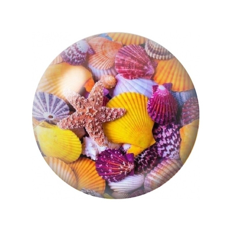 Cabochon en Verre Illustré Coquillages et Étoile de Mer Colorés 12 à 25mm