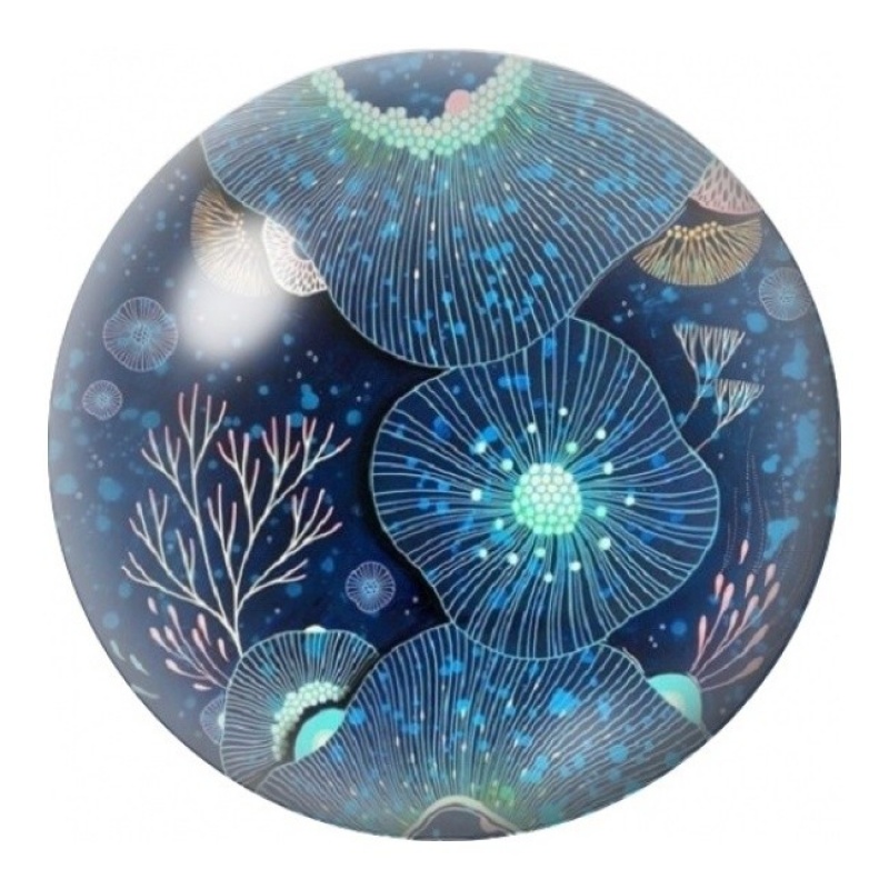 Cabochon en Verre Illustré Rosaces Marines Bleu Nuit 12 à 25mm