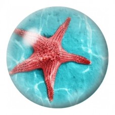 Cabochon en Verre Illustré Étoile de Mer Rouge 12 à 25mm pour la Création de Bijoux Fantaisie - DIY