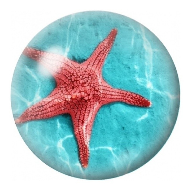Cabochon en Verre Illustré Étoile de Mer Rouge 12 à 25mm