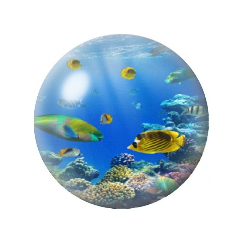 Cabochon en Verre Illustré Poissons Tropicaux sur le Récif 12 à 25mm