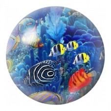 Cabochon en Verre Illustré Poissons Fantaisie dans le Corail 12 à 25mm pour la Création de Bijoux Fantaisie - DIY