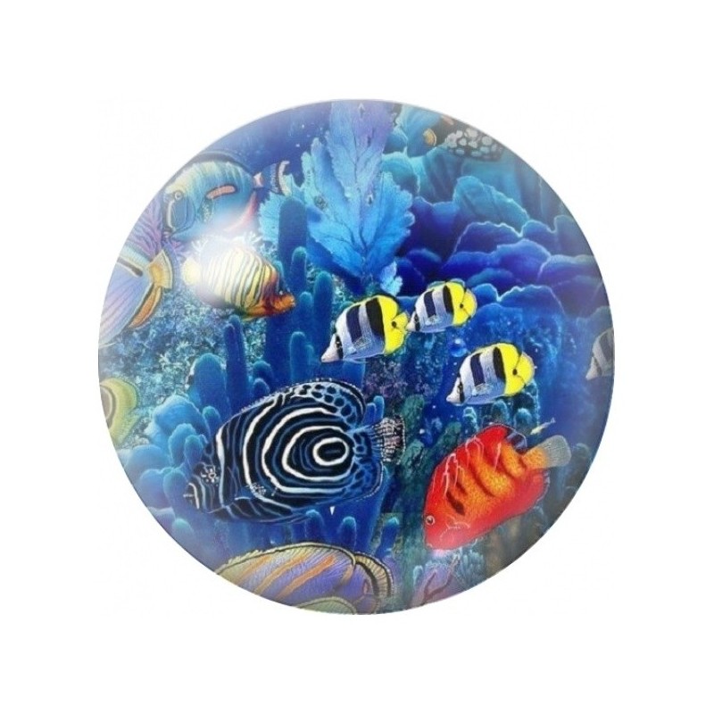 Cabochon en Verre Illustré Poissons Fantaisie dans le Corail 12 à 25mm
