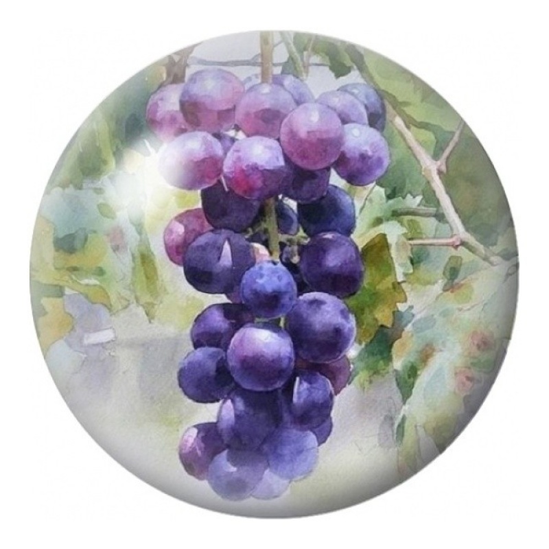 Cabochon en Verre Illustré Grappe de Raisin Violet 12 à 25mm