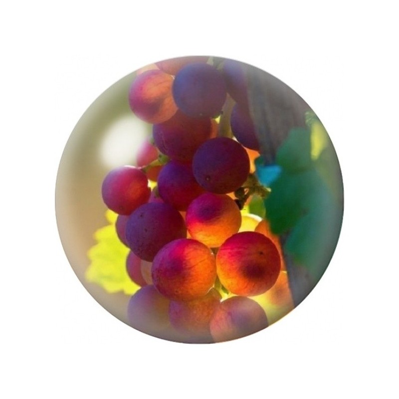 Cabochon en Verre Illustré Grappe de Raisin Rouge au Soleil 12 à 25mm