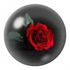 Cabochon en Verre Illustré Rose Rouge sur Fond Noir 12 à 25mm pour la Création de Bijoux Fantaisie - DIY
