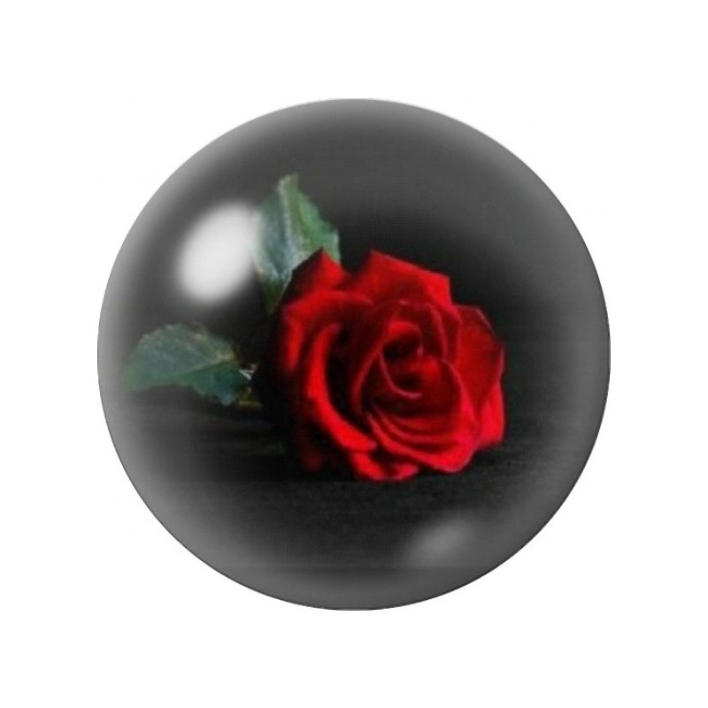 Cabochon en Verre Illustré Rose Rouge sur Fond Noir 12 à 25mm