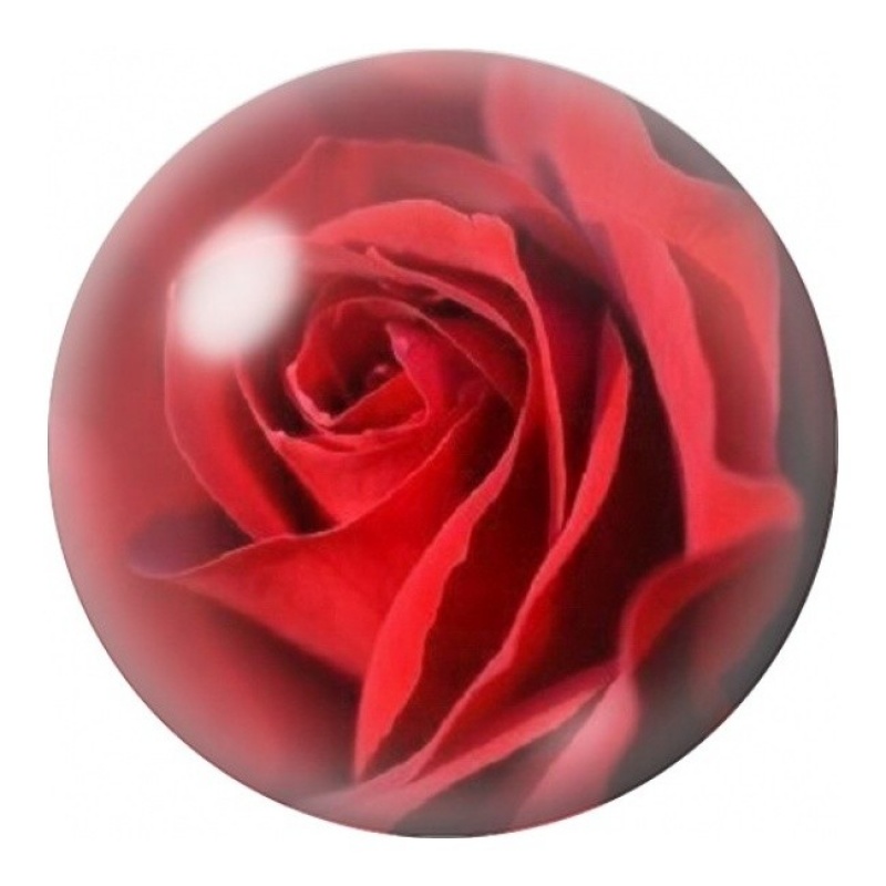 Cabochon en Verre Illustré Rose Rouge Passion 12 à 25mm