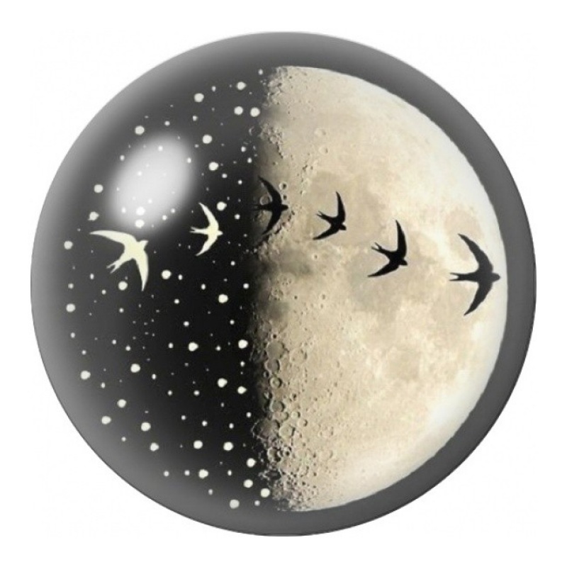Cabochon en Verre Illustré Lune et Envol d’Oiseaux 12 à 25mm