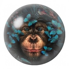 Cabochon en Verre Illustré Chimpanzé aux Papillons Bleus 12 à 25mm pour la Création de Bijoux Fantaisie - DIY