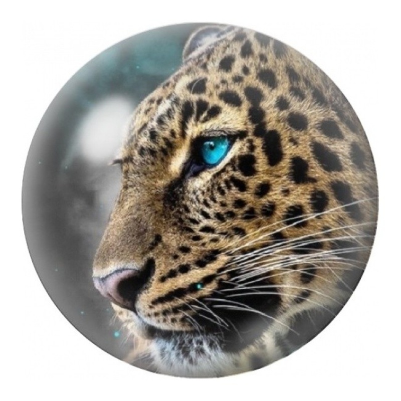 Cabochon en Verre Illustré Léopard de Profil à l’Œil Bleu 12 à 25mm