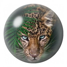 Cabochon en Verre Illustré Léopard aux Yeux Bleus dans la Jungle 12 à 25mm pour la Création de Bijoux Fantaisie - DIY