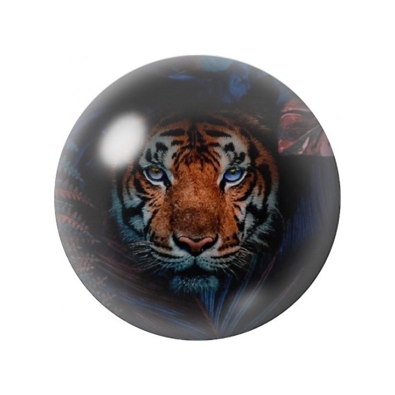 Cabochon en Verre Illustré Tigre au Regard Bleu Nocturne 12 à 25mm