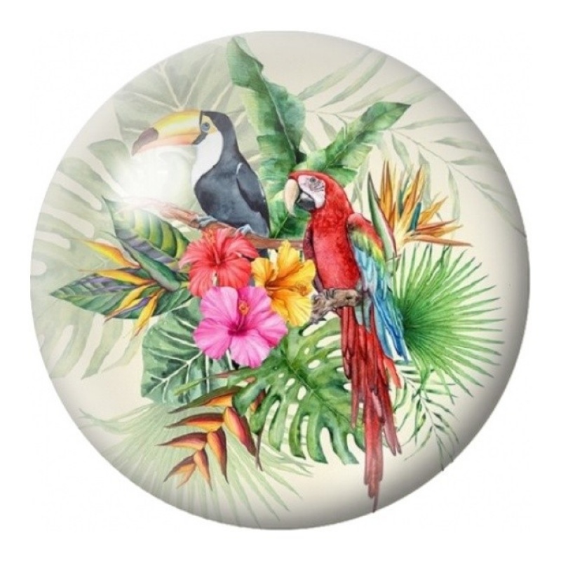 Cabochon en Verre Illustré Perroquets dans les Fleurs Tropicales 12 à 25mm