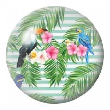 Cabochon en Verre Illustré Toucans dans les Palmes 12 à 25mm pour la Création de Bijoux Fantaisie - DIY