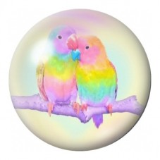 Cabochon en Verre Illustré Inséparables Arc-en-Ciel 12 à 25mm pour la Création de Bijoux Fantaisie - DIY