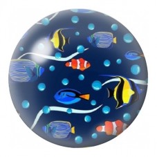 Cabochon en Verre Illustré Poissons Tropicaux sur Fond Bleu 12 à 25mm pour la Création de Bijoux Fantaisie - DIY