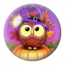 Cabochon en Verre Illustré Hibou Sorcier d’Automne 12 à 25mm pour la Création de Bijoux Fantaisie - DIY