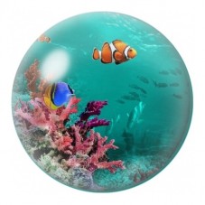 Cabochon en Verre Illustré Poissons Tropicaux sur le Récif 12 à 25mm pour la Création de Bijoux Fantaisie - DIY