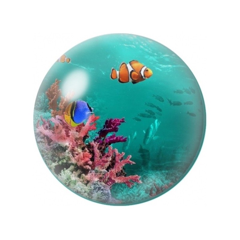 Cabochon en Verre Illustré Poissons Tropicaux sur le Récif 12 à 25mm