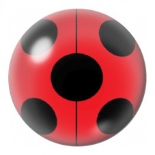 Cabochon en Verre Illustré Coccinelle Rouge Graphique 12 à 25mm pour la Création de Bijoux Fantaisie - DIY
