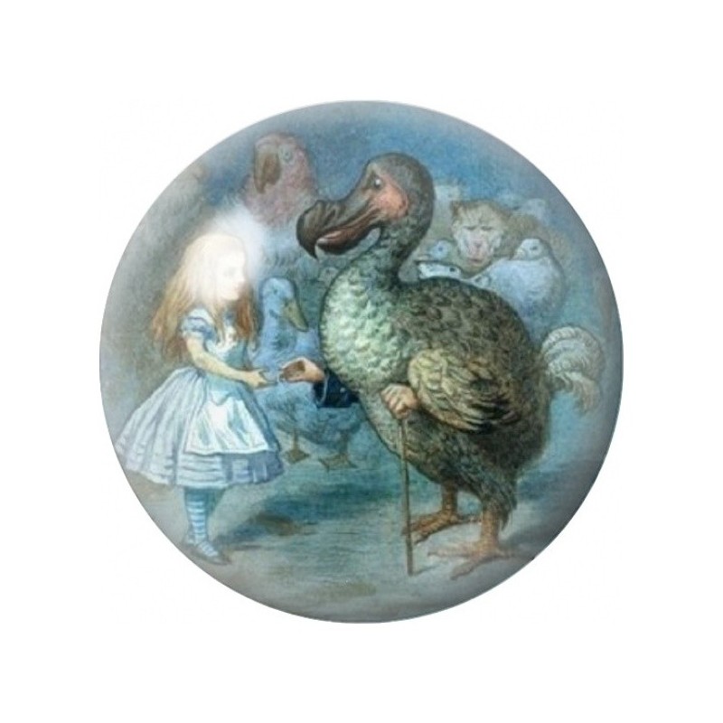 Cabochon en Verre Illustré Alice et le Dodo Vintage 12 à 25mm