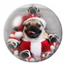 Cabochon en Verre Illustré Bouledogue en Père Noël 12 à 25mm pour la Création de Bijoux Fantaisie - DIY