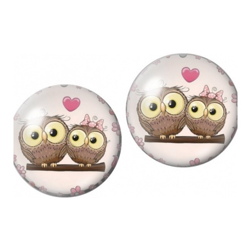 2 Cabochons en Verre Illustrés Couple de Hiboux et Cœur 12mm