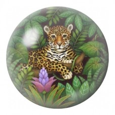 Cabochon en Verre Illustré Léopard dans la Jungle 12 à 25mm pour la Création de Bijoux Fantaisie - DIY