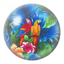 Cabochon en Verre Illustré Perroquets Tropicaux 12 à 25mm pour la Création de Bijoux Fantaisie - DIY