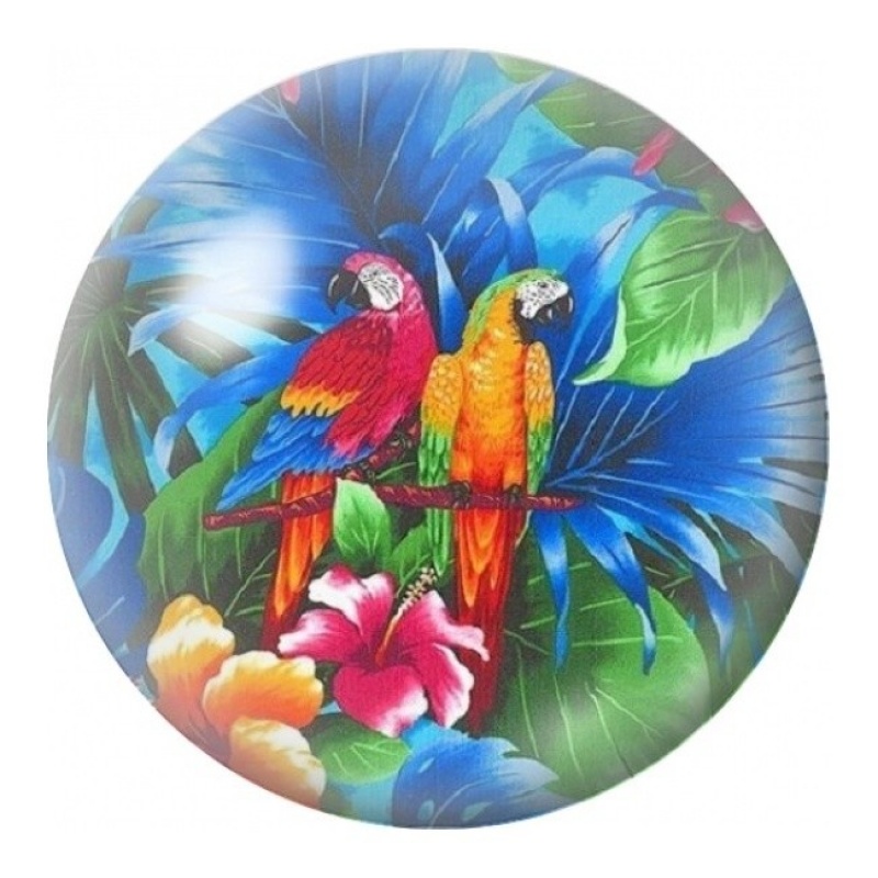 Cabochon en Verre Illustré Perroquets Tropicaux 12 à 25mm