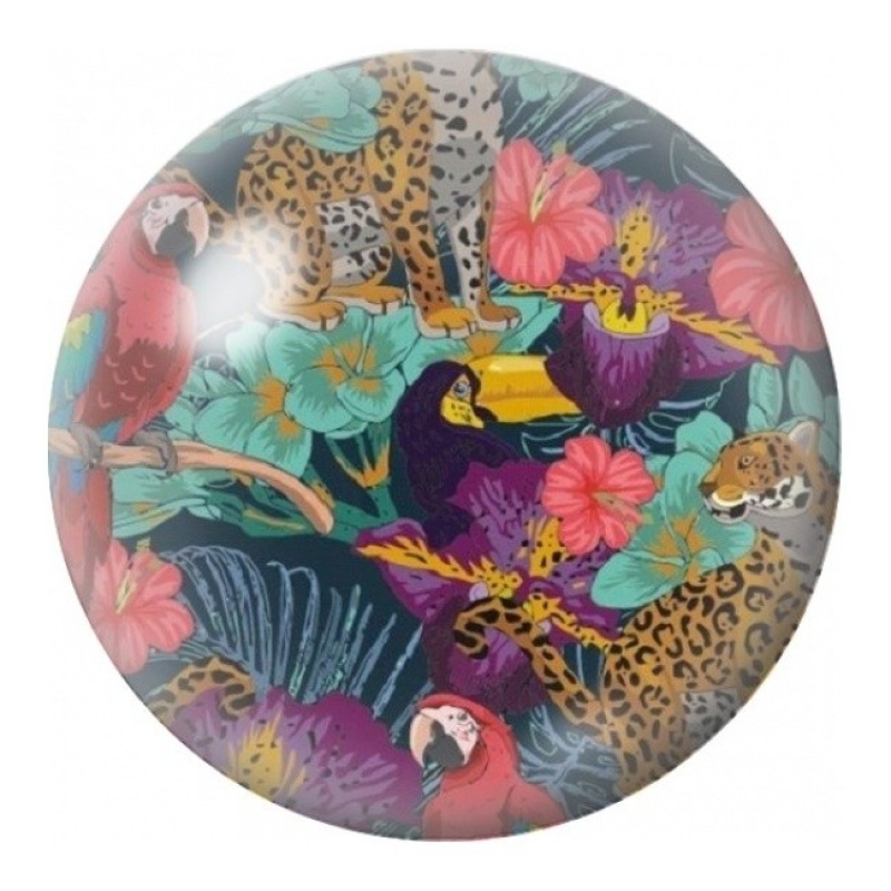 Cabochon en Verre Illustré Toucan et Léopards 12 à 25mm