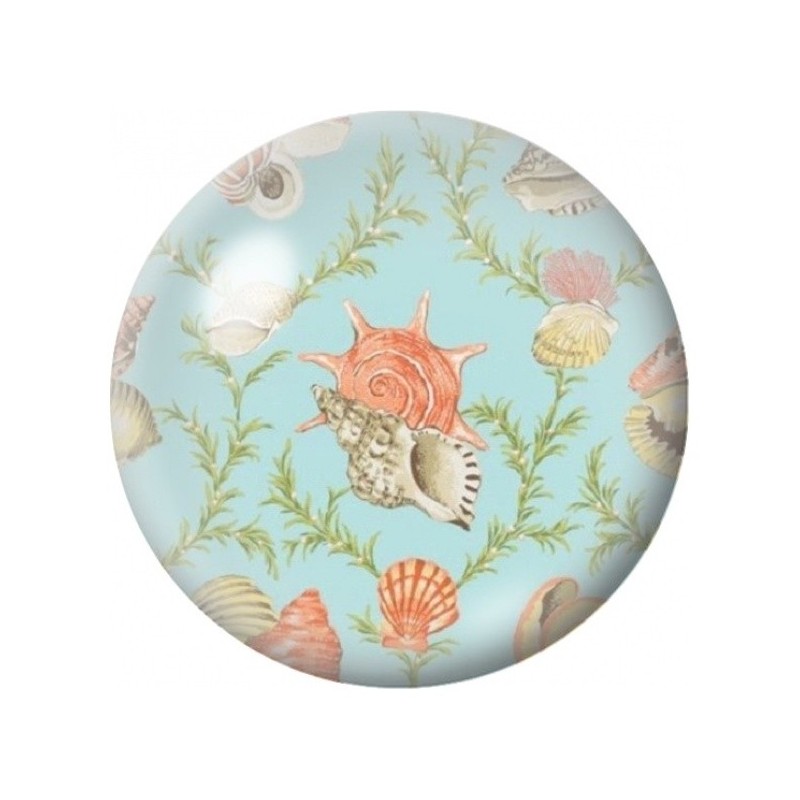 Cabochon en Verre Illustré Coquillages sur Fond Turquoise 12 à 25mm