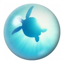 Cabochon en Verre Illustré Silhouette de Tortue sous l'Eau 12 à 25mm pour la Création de Bijoux Fantaisie - DIY