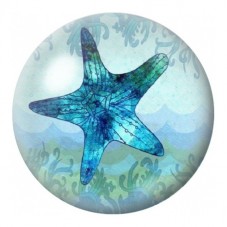 Cabochon en Verre Illustré Étoile de Mer Bleue 12 à 25mm pour la Création de Bijoux Fantaisie - DIY