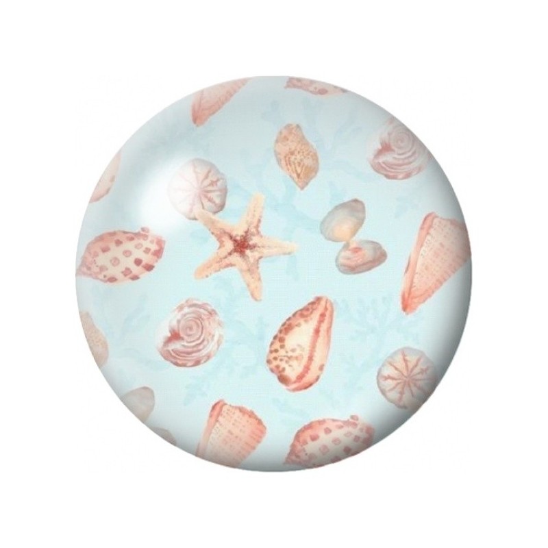 Cabochon en Verre Illustré Coquillages Corail sur Bleu 12 à 25mm