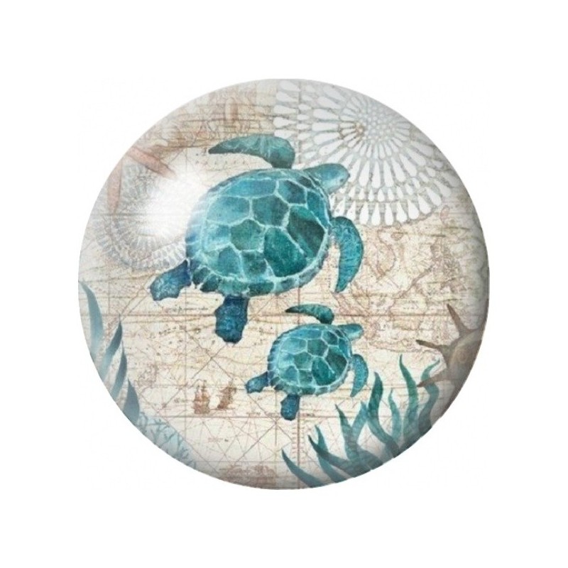 Cabochon en Verre Illustré Tortues sur Carte Marine 12 à 25mm