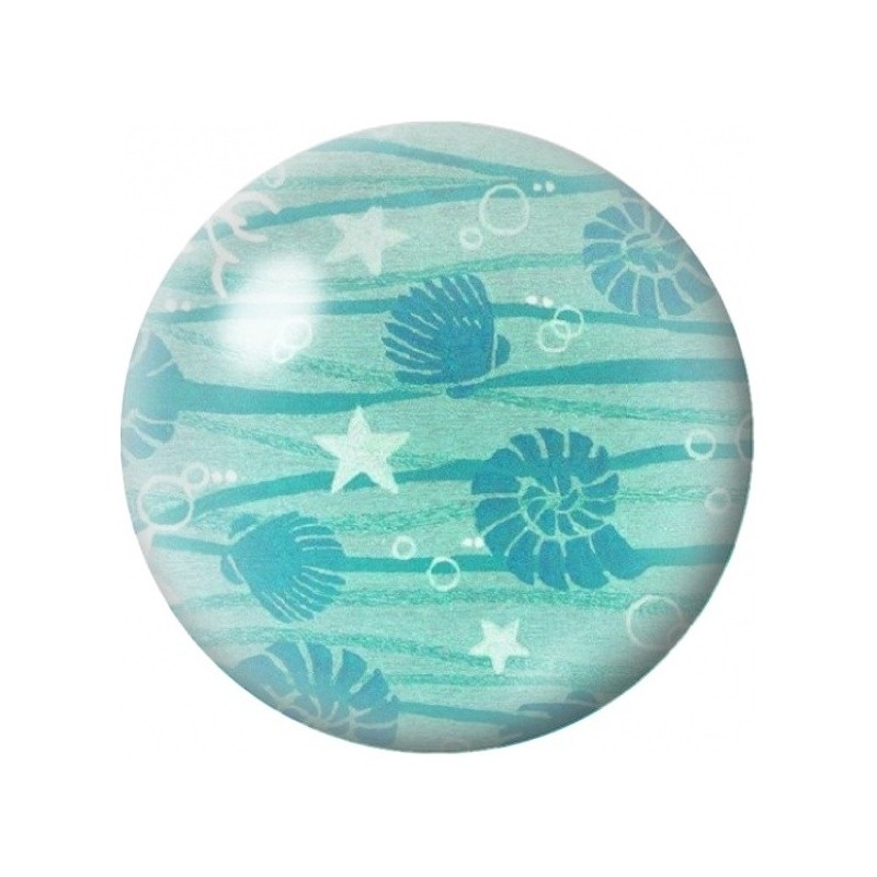 Cabochon en Verre Illustré Tortues et Coquillages Turquoise 12 à 25mm
