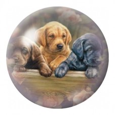 Cabochon en Verre Illustré Chiots Labrador Jaune et Noir 12 à 25mm pour la Création de Bijoux Fantaisie - DIY