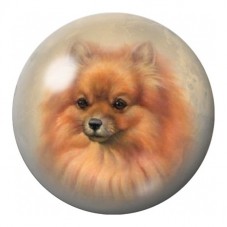 Cabochon en Verre Illustré Spitz Allemand Roux 12 à 25mm pour la Création de Bijoux Fantaisie - DIY