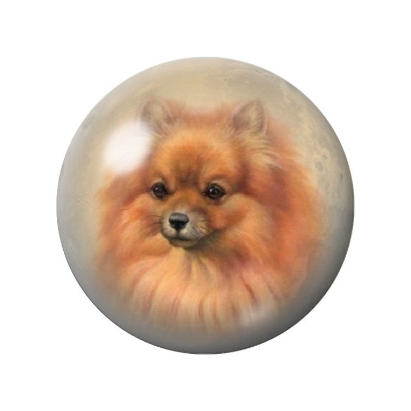 Cabochon en Verre Illustré Spitz Allemand Roux 12 à 25mm