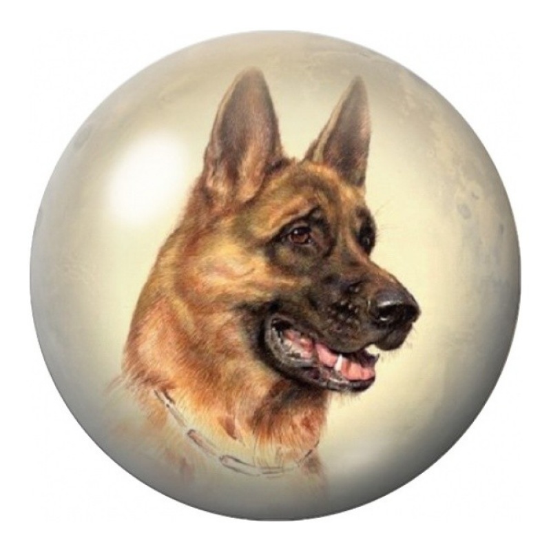 Cabochon en Verre Illustré Berger Allemand de Profil 12 à 25mm