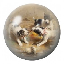 Cabochon en Verre Illustré Chiots Jouant dans l'Eau 12 à 25mm pour la Création de Bijoux Fantaisie - DIY